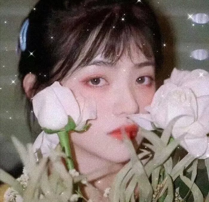 梧桐雨